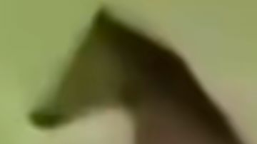 倒霉肝帝，鉴定宝库一百开（前三十三次）