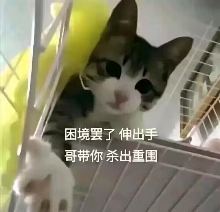 有点难度的极限挑战哦₍˄·͈༝·͈˄*₎◞ ̑̑ 2