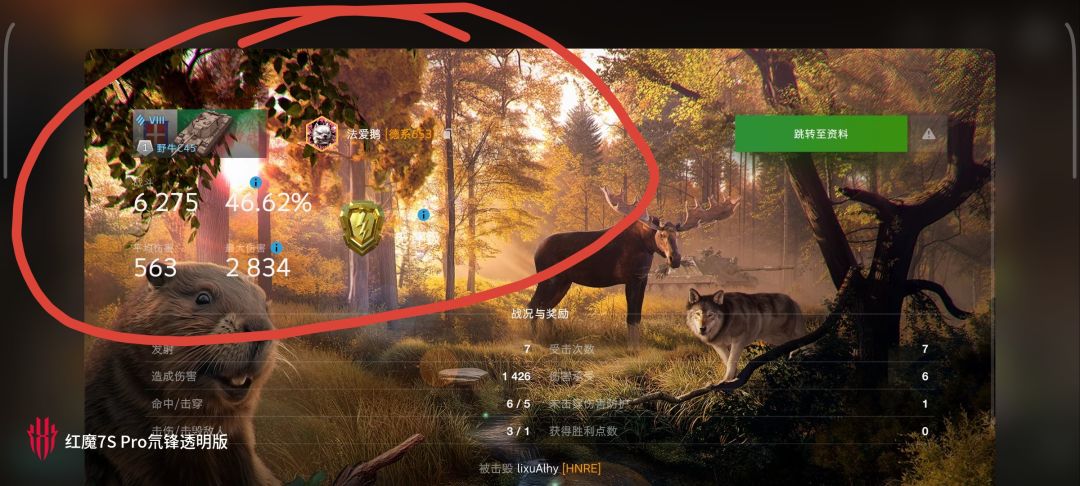 动态图片 16