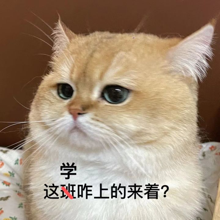 【求助】都是从tap上下的,平板和手机数据不互通怎么办?截图