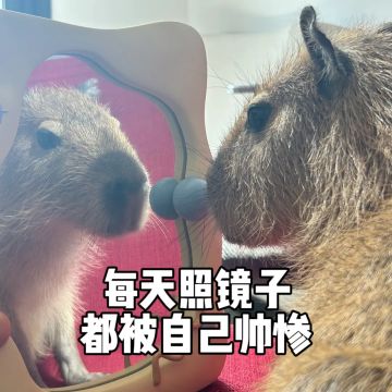 国民网红入职天机阁，爆改策划整顿游戏职场？