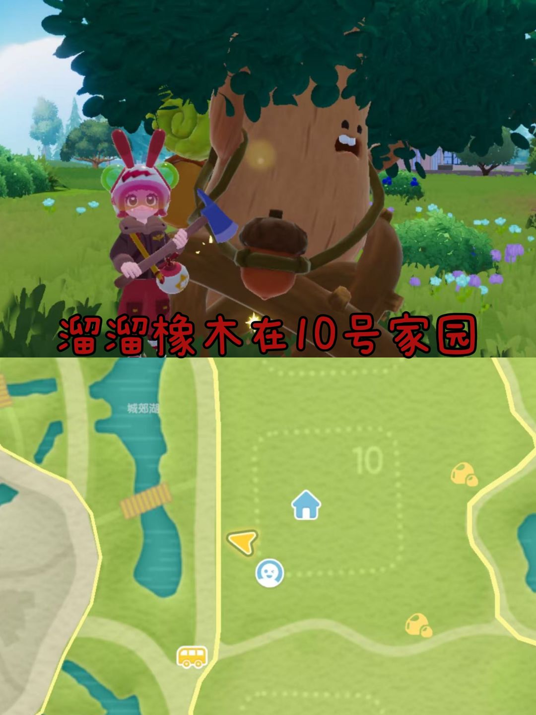 心动小镇每日萤石来啦! 3