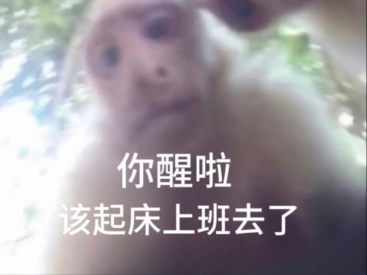 有没有简单便捷的源器分解原则?截图
