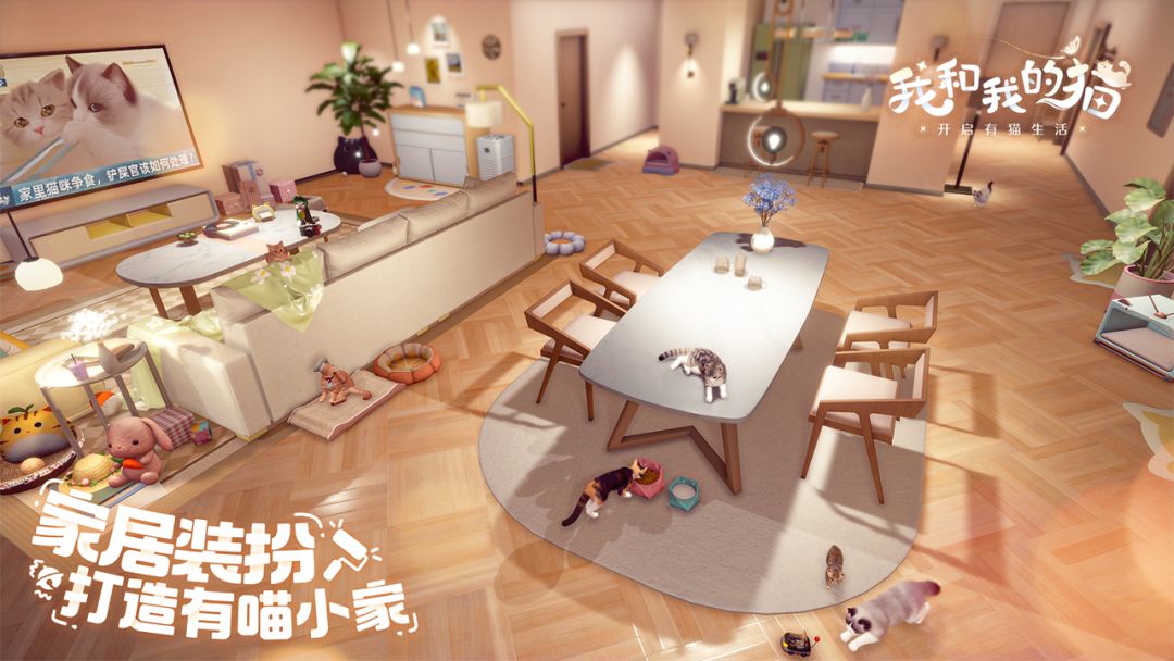 爱猫人士福音来啦🐱🐱🐱 3