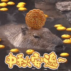 【福利活动|第十二期】抽中即得128元满减代金券!截图