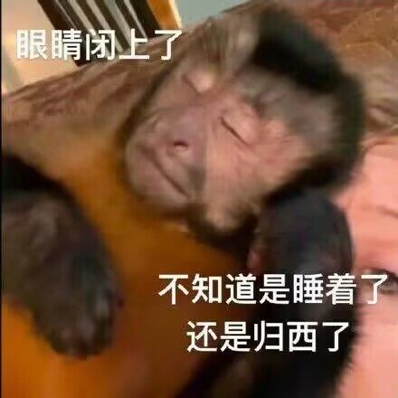 我被恶心到了 1