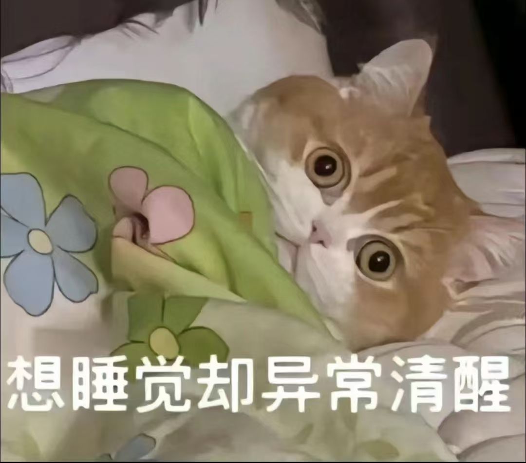 关于神子 1