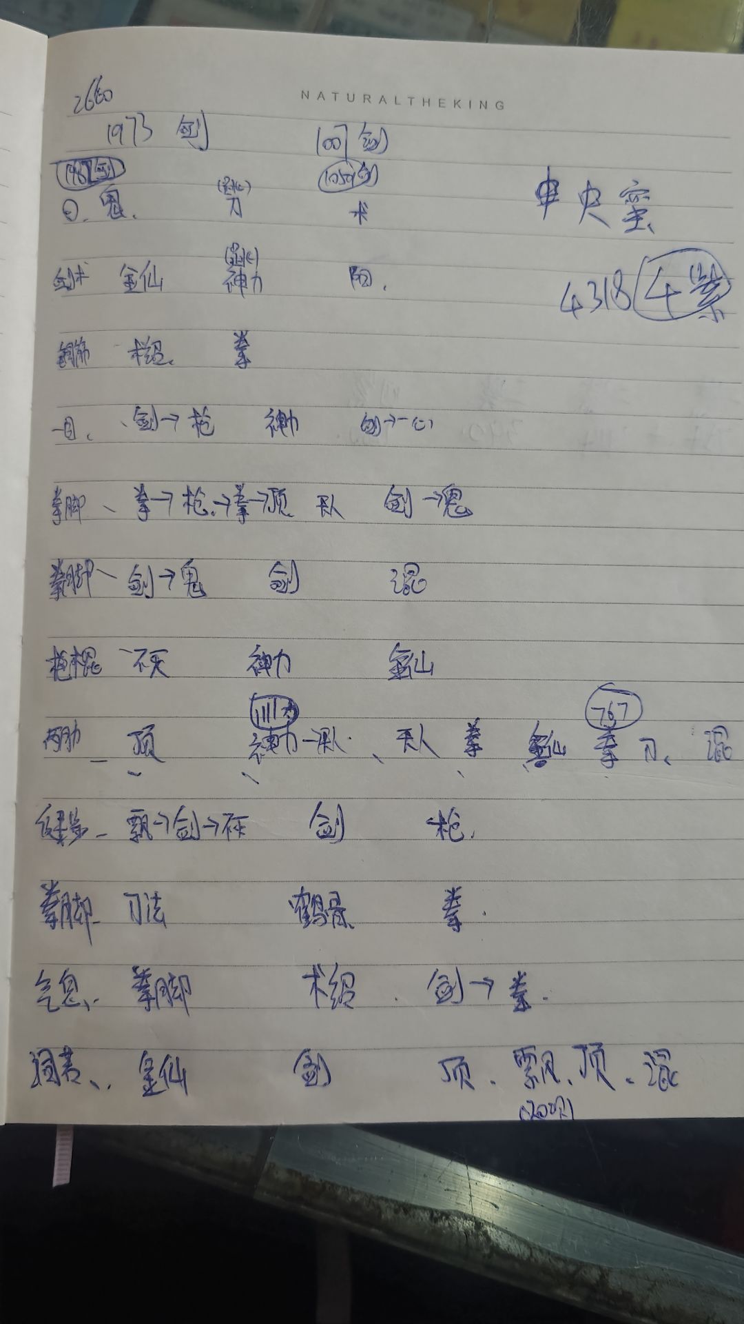 大佬们看一下洗脉 4