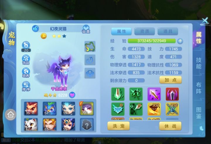 新人,问问这个送的宠物后期能用吗?截图