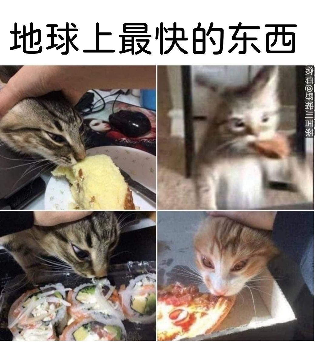 【沙雕图片】每日更新搞笑图片#45 2