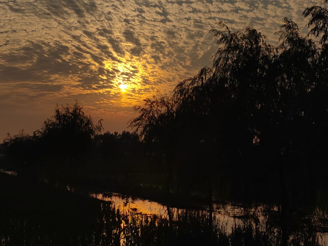 362 1