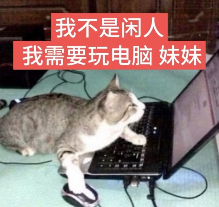 还有500左佛系公会收人吗,活人多的截图
