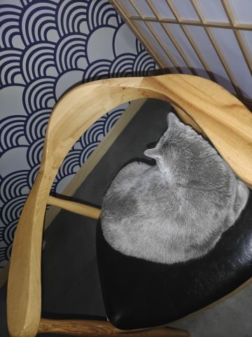 偷大佬的礼包码铁子