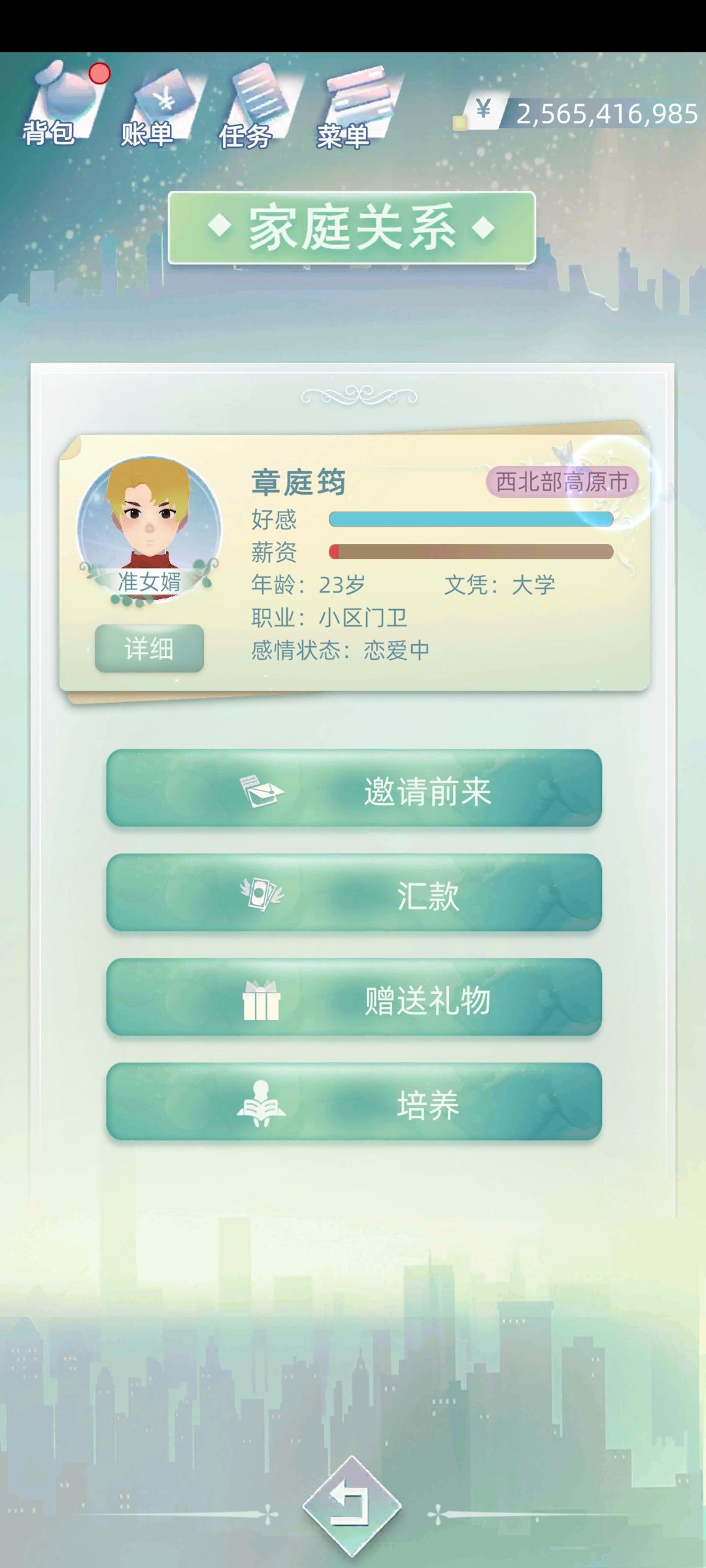 一样的女婿 3