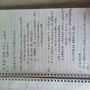 猪猪世界的攻略