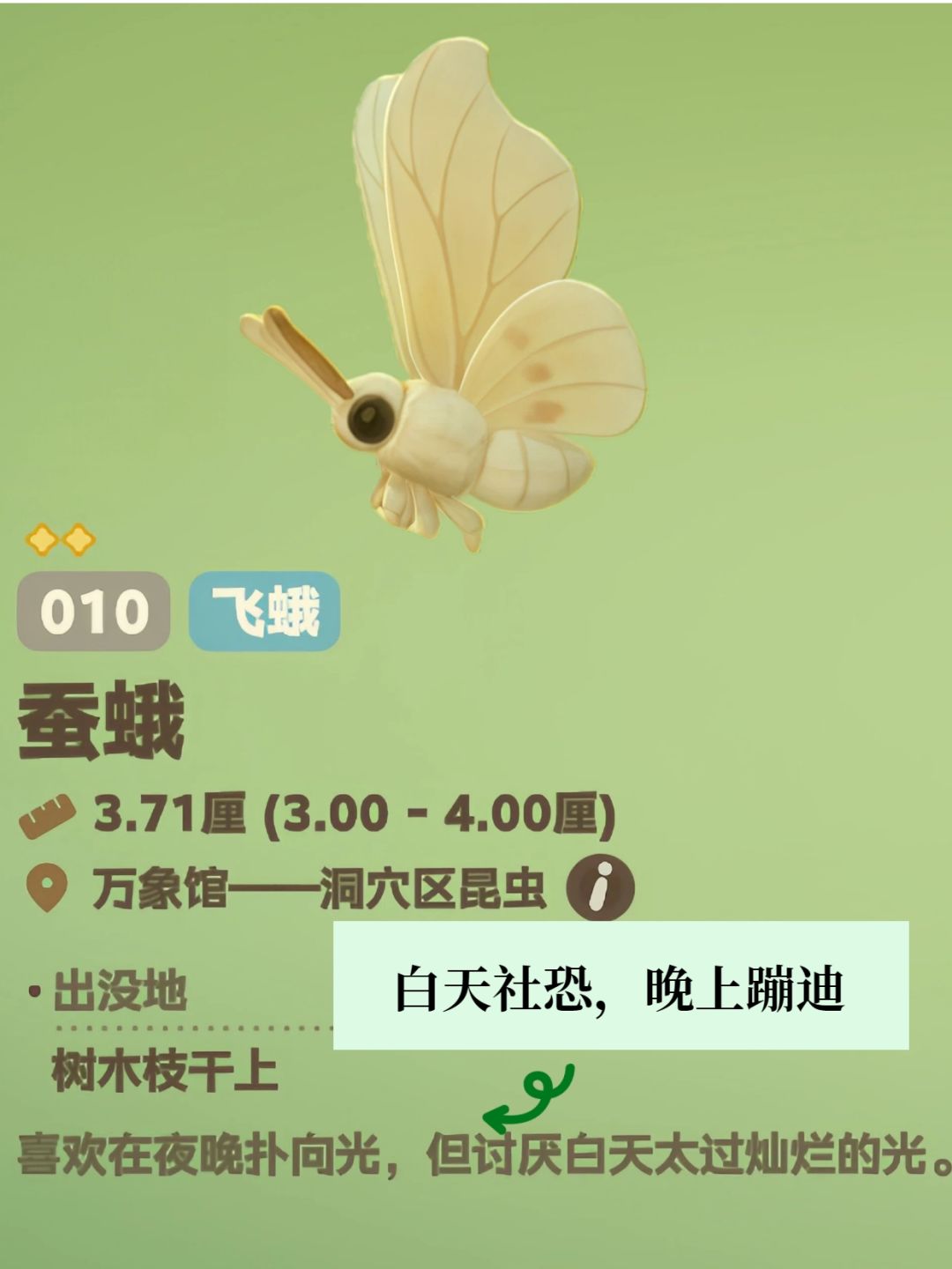 知识以奇怪的方式进入脑子 6