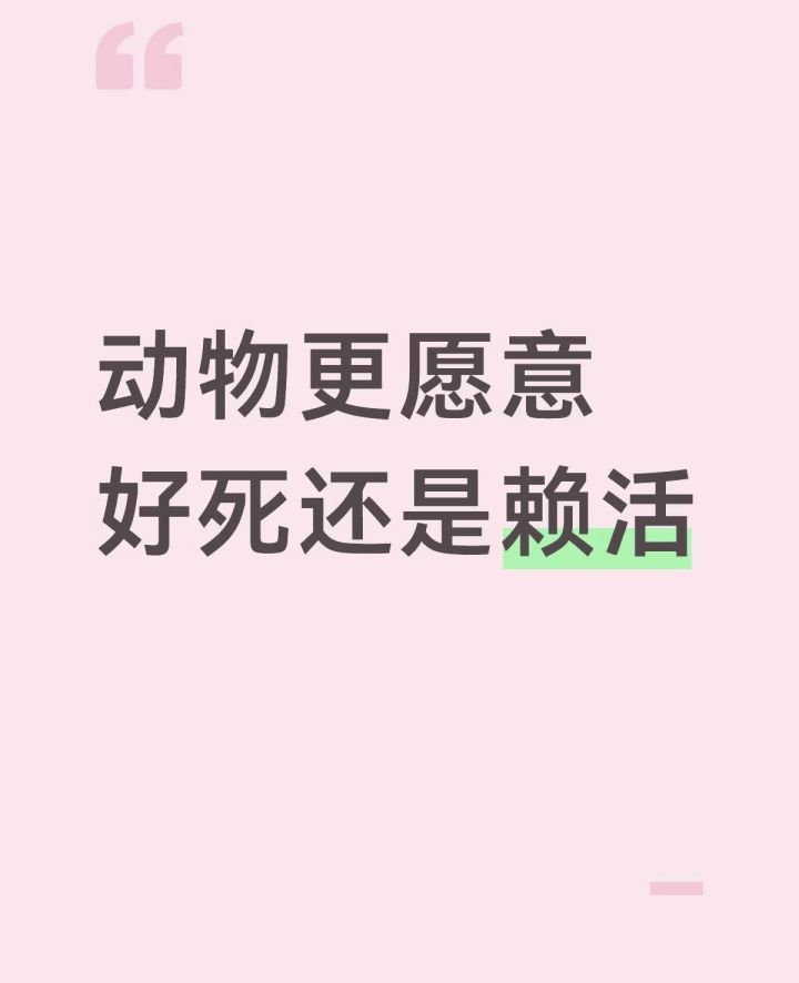 动物更愿意好死还是赖活。截图