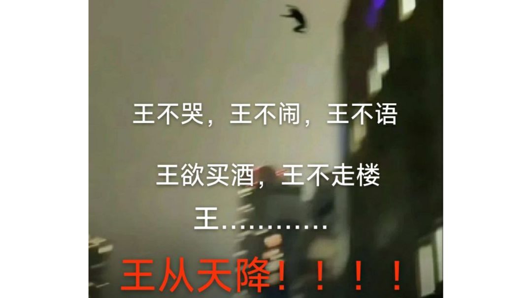 图鉴截图