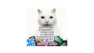 [意义不明]辅助队的养成思路