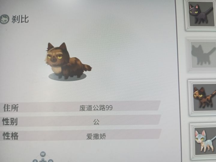 这只猫的名字……截图
