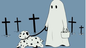 从零开始托拉姆——职业补充（萌新指南1.5）