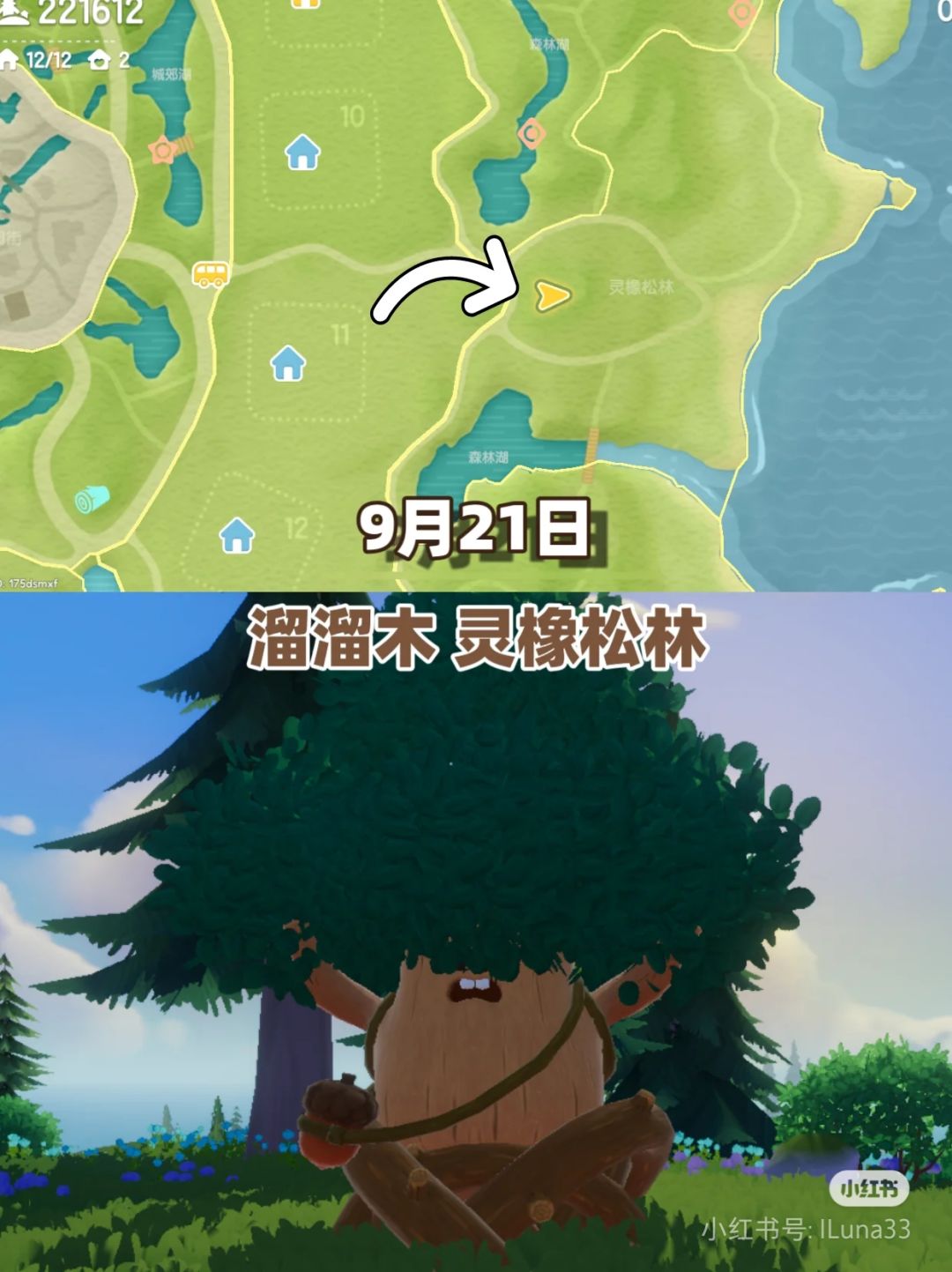 9.21溜溜木/无暇萤石/礼包码/酷暑天泡泡 2