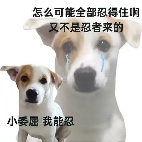 牧师和士兵竟在做这种事情……黛黛为您播报 2