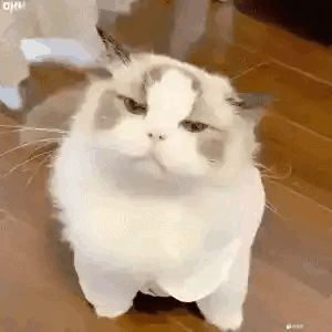 怎么会锁30帧率啊???截图