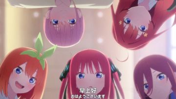 萌新入坑指导指导