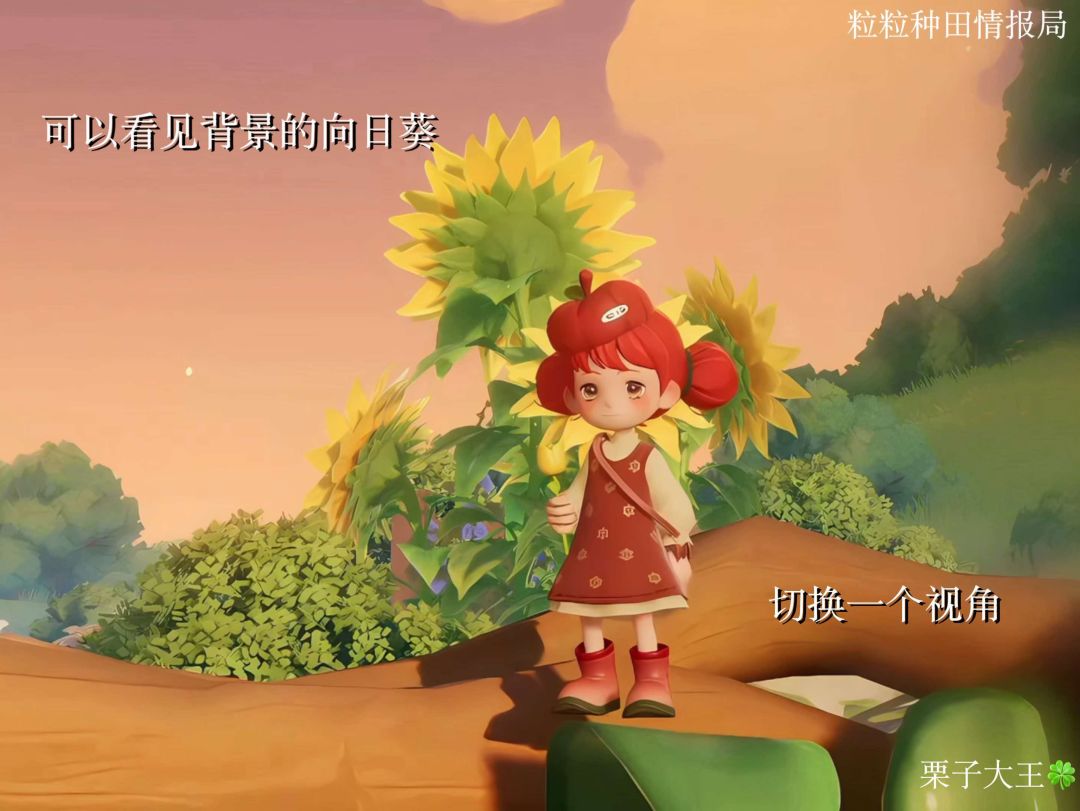 小人国出片点位|枯木迷宫 6