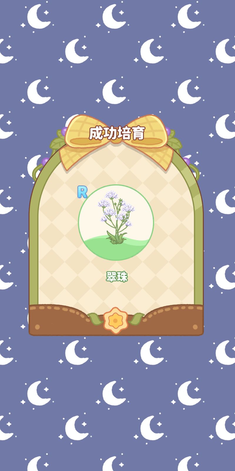 我在小岛的日常 1