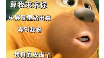 给大家讲个故事吧