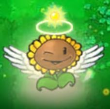 新卡发布!杂交版再现两种新型向日葵 3