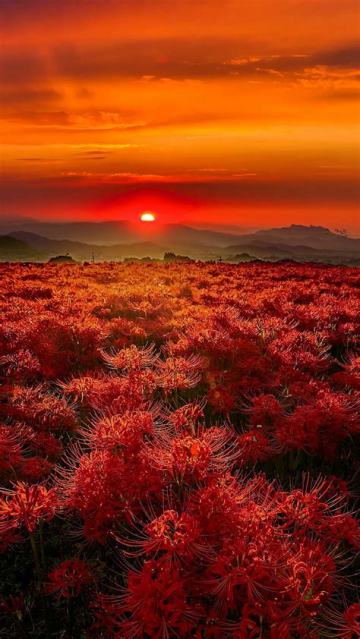 《重生之我是何言今》（未来篇）