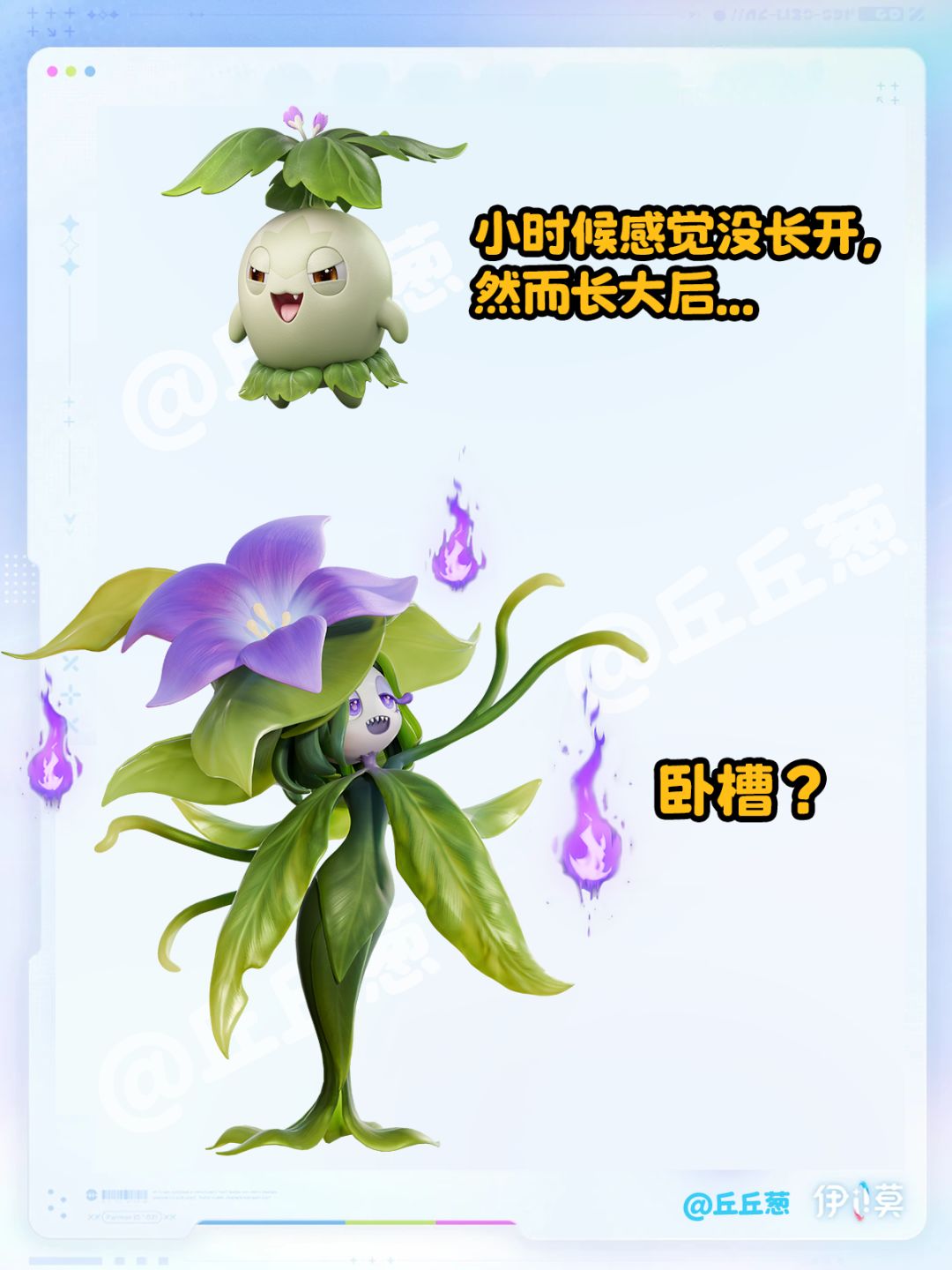 【伊莫】幼年形态已经很完美了... 8
