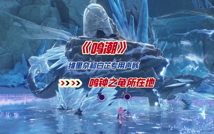 《鸣潮》维里奈和白芷专用声骸鸣钟之龟所在地截图