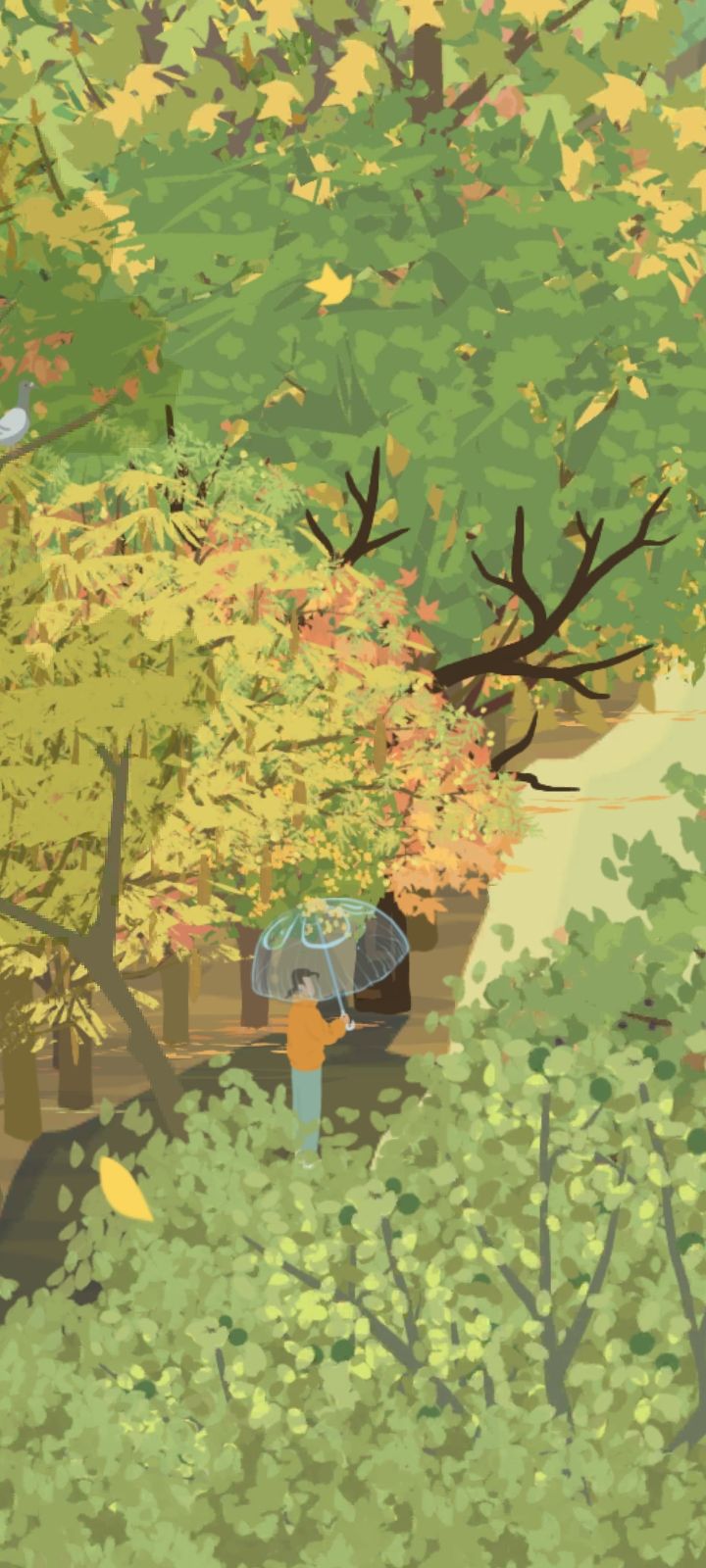 落叶🍂 3
