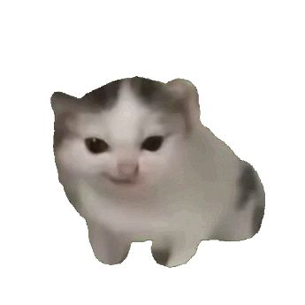 萌新求教(灬º‿º灬)♡