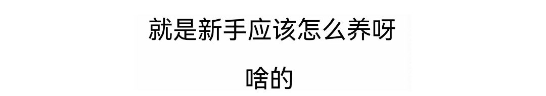 这是篇战队收人贴 1