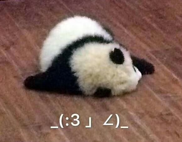 还能发帖吗截图