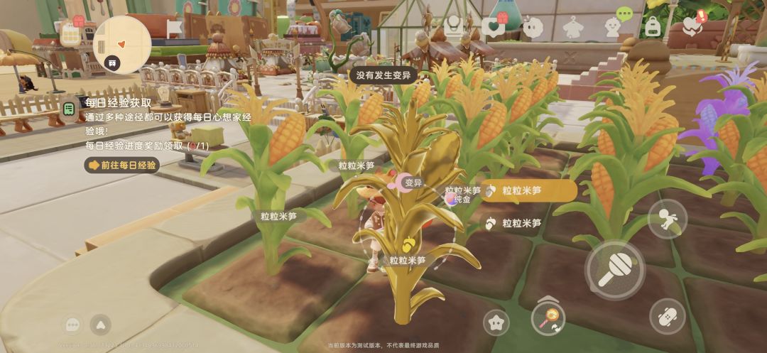纯金大苞米! 1