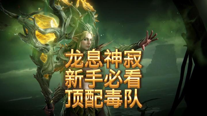 龙息神寂新手必看-组队攻略之毒队截图