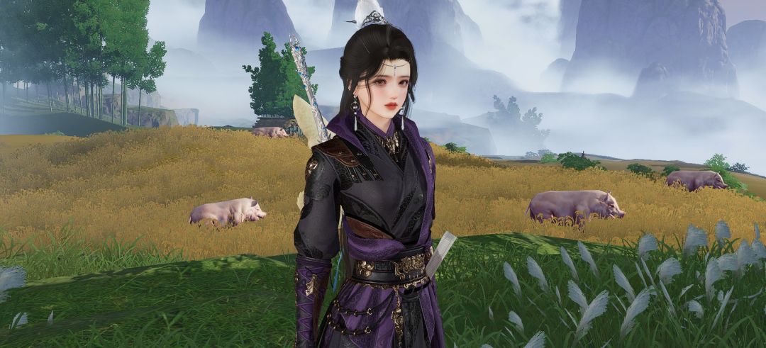 满级了买套衣服回稻香村同富贵家猪合拍一组 3