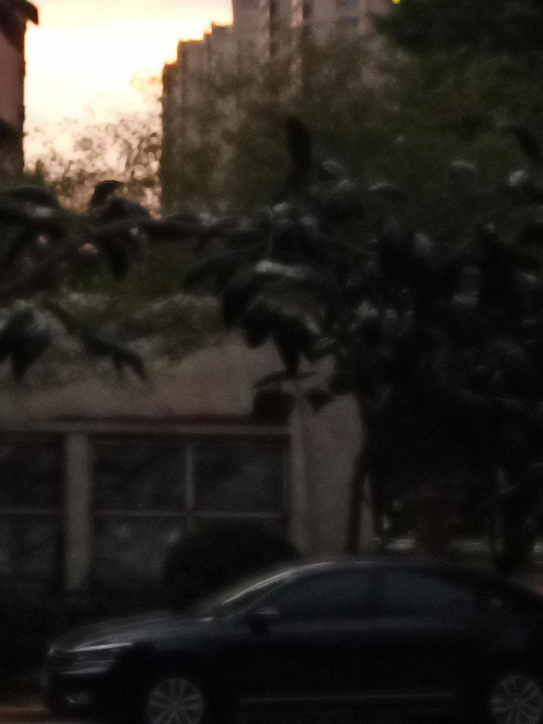 动态图片 8