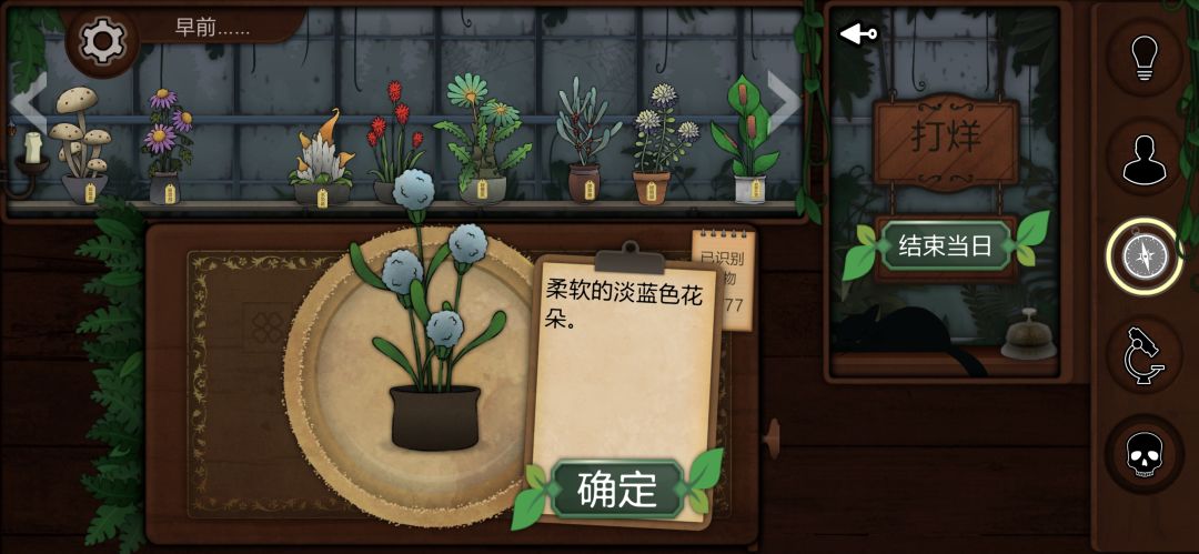记录一些个人比较喜欢或觉得有意思的植物 12