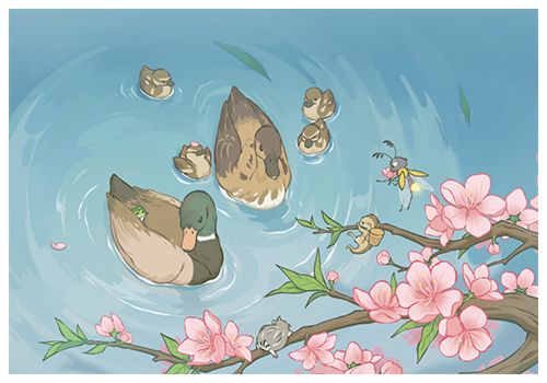 照片存档4 17