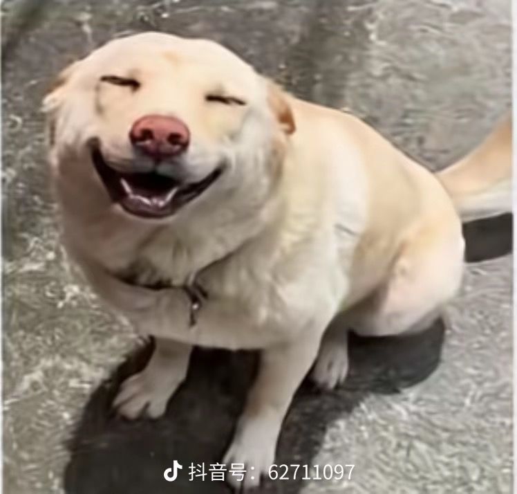 有没有什么好的自建角色分享啊截图