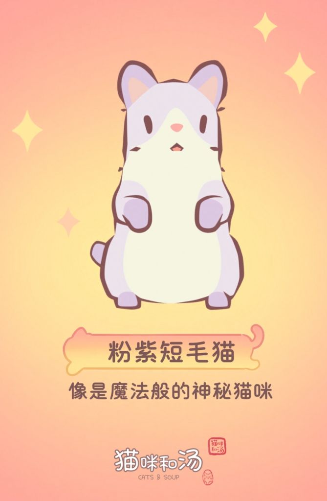 猫咪和汤截图