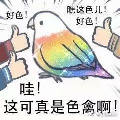 1200公会收人 2