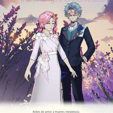 文照阑是一款很好吃的人夫